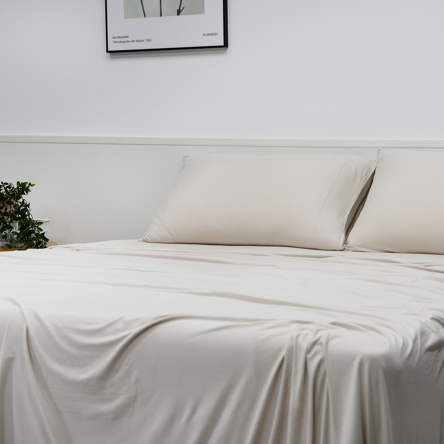 Bamboo Jersey Sheet Set - Nature