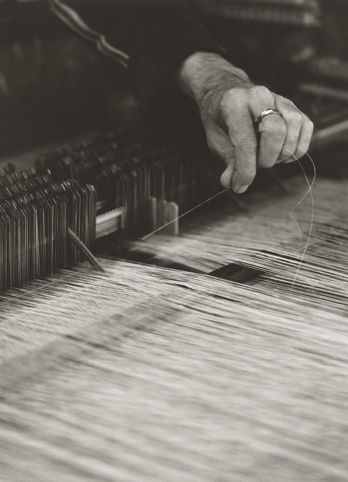 fabric print and dyeing