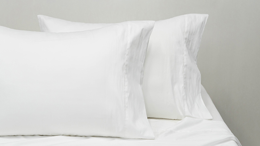 300TC Combed Cotton Pillow Case
